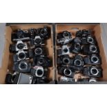 Two Trays of SLR Camera Bodies, including three Nikon F-301, a Pentax P30, P30n, a Cosina CS-1,