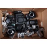 A Tray of Digital Cameras, including a Canon EOS-1 d Mark II DSLR body, a Nikon D70 DSLR body, a