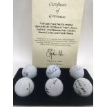 A Collection of celebrity signed golf balls with C