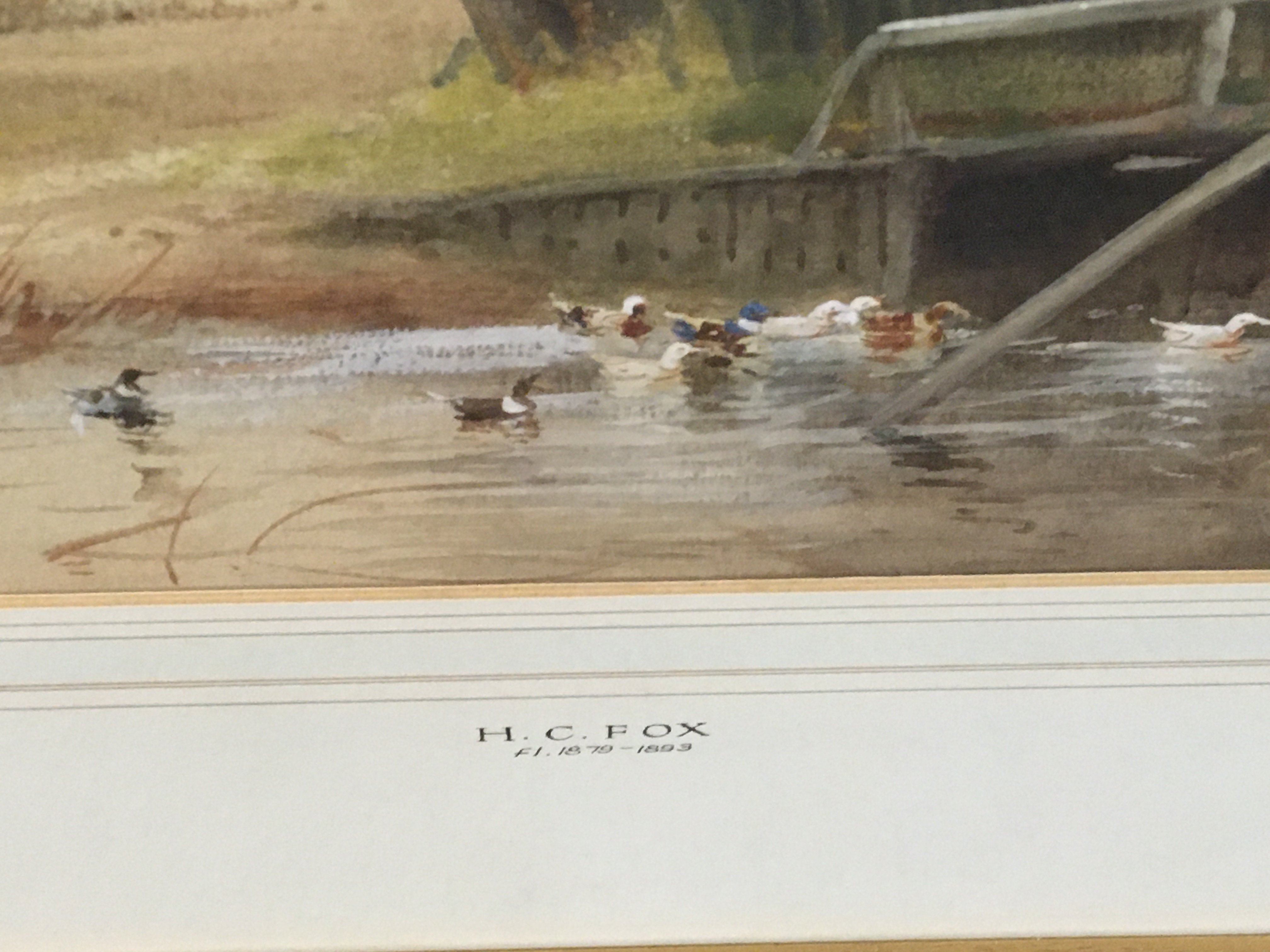 A framed watercolour rural scene with ducks on river and cattle grazing beyond. Signed and by HC Fox