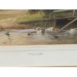 A framed watercolour rural scene with ducks on river and cattle grazing beyond. Signed and by HC Fox