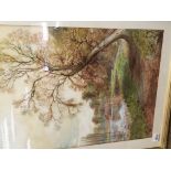 A framed watercolour study of a river bank with fi