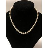 A pearl necklace with a 14ct white gold clasp set