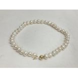 An 18â€ necklace strung with white cultured pearl