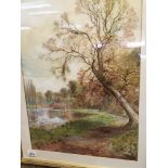 A framed watercolour study of a river bank with fi