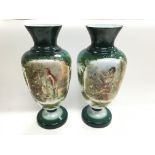 Victorian opaline glass vases with hand painted de