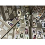 A Collection of cigarette cards including Coronation series, Dogs, Railway equipment, birds, wild