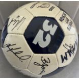 Tottenham 2002 - 2003 Signed Football: Official signed football with many autographs signed