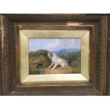 A gilt framed oil on board of a terrier in the sty