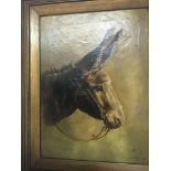 A framed study of a mule or donkey signed LHealing