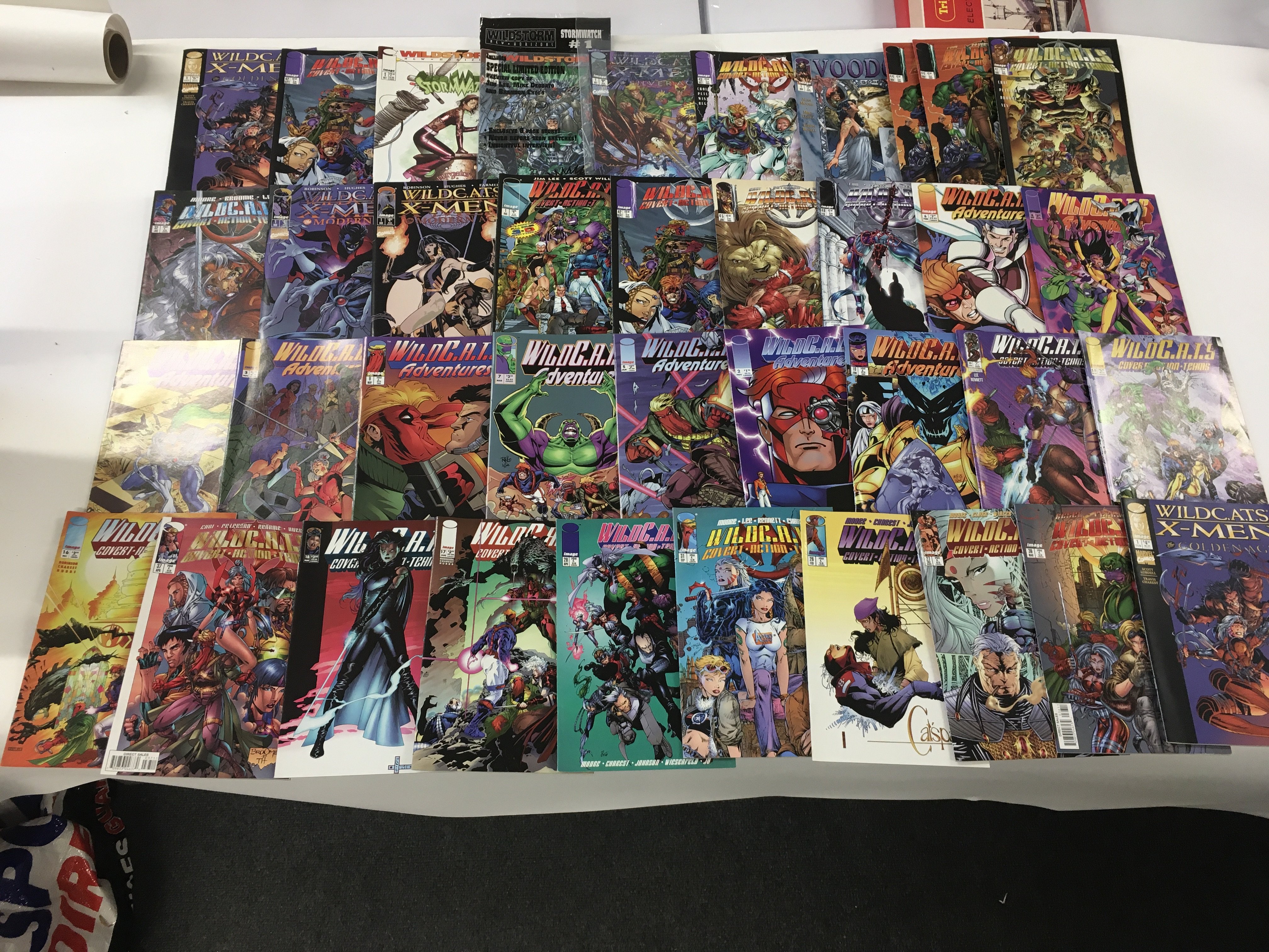 A collection of Wildcat and Wildstorm comics, plus