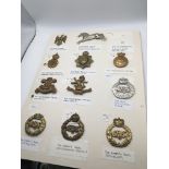 An album containing military cap badges mainly Hus