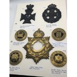 A collection of military Helmet plates mainly coun