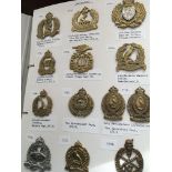 An album containing military brass badges mainly N