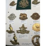 An album containing military badges British Coloni