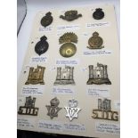 A collection of military cap badges predominantly