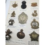 An album containing Military badges mainly British