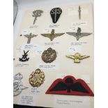 An album containing military and RAF badges some c