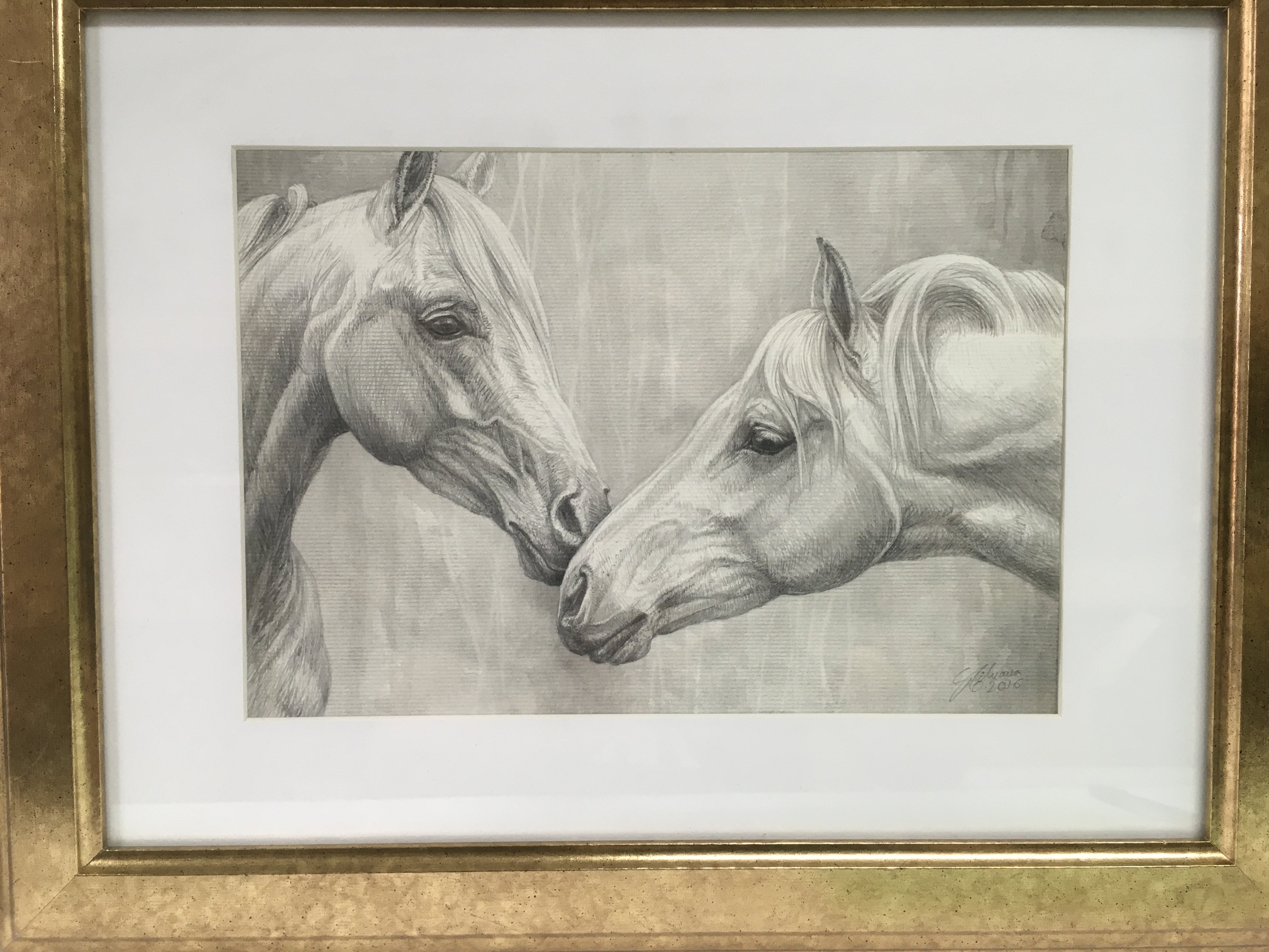 A framed and glazed pencil drawing of two horse ps