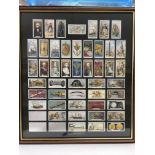 Four framed collections of cigarette cards compris