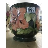 A Moorcroft planter on green ground