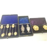 A cased pair of silver condiments, silver gilt sal