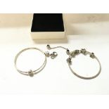 Two Pandora bracelets with various charms.