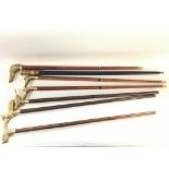 A collection of seven brass topped walking sticks.