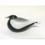 A modern design glass bird Made by Iittala Finland