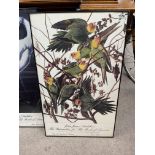 A pair of John James Audubon, display posters for