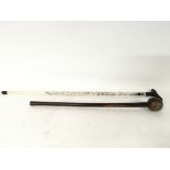 Zulu Knobkerry & walking cane rosewood handle and