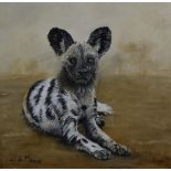 Wendy du Plessis (South African) oil on canvas study of a wild dog, signed lower left 30 x 30cm,