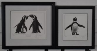 Gary Hodges (b1954), signed limited edition prints, Jackass Penguin (764/850) and Jackass Penguin