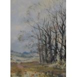 Roy Perry watercolour 'Elm Trees Linkenholt', Nr Andover, Hampshire, signed lower left and titled