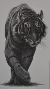 Gary Hodges (b1954) signed limited edition print of a tiger Stealth (201/250), 43 x 25cm