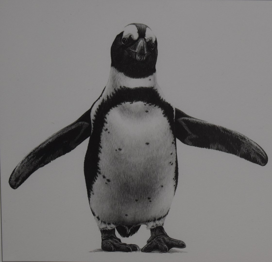 Gary Hodges (b1954), signed limited edition prints, Jackass Penguin (764/850) and Jackass Penguin - Image 6 of 9