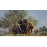 David Shepherd signed limited edition(405/1300) Elephants and Egrets, 51 x 82cm, in gilt frame