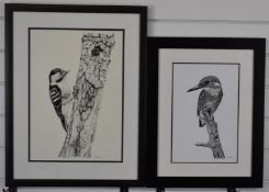 Paul Stratton two pen and ink drawings of birds, both signed lower right, larger 40 x 28cm, both