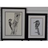 Paul Stratton two pen and ink drawings of birds, both signed lower right, larger 40 x 28cm, both