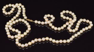 A single strand of cultured pearls with 9ct gold clasp, 88cm long