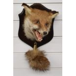 J Crewdson taxidermy study of a mounted fox mask and brush, H40cm