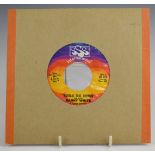 Danny White - Natural Soul Brother (SSS754). Record appears EX