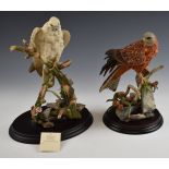 Two Country Artists bird of prey figures red kite on fern and larch cones and 'Arctic Prince',