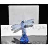 Lalique blue glass dragonfly paperweight, signed to base 'Lalique France', H9cm, in original box,