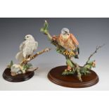 Two Country Artists bird of prey figures 'Gyr Falcon with Fern' and 'Kestrel with Mayberries',