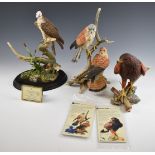 Three Country Artists bird of prey figures 'The Return', 'Harris Hawk' and 'Kestrel', in original