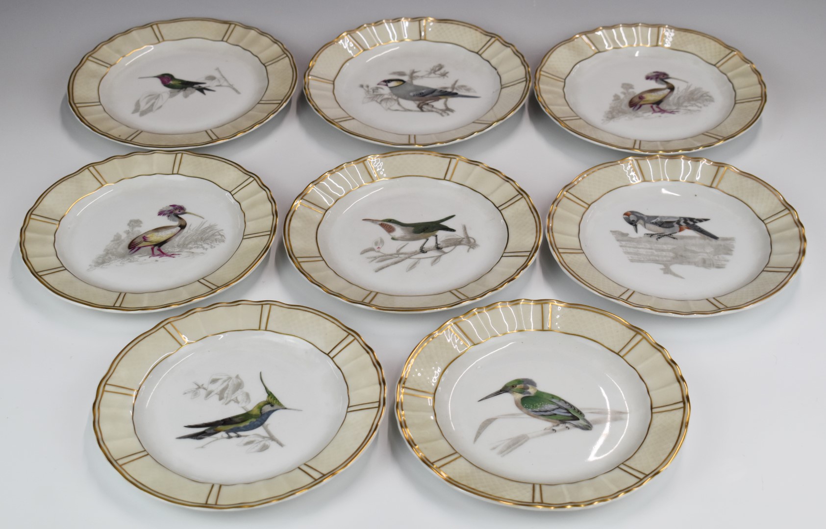 Eight Bernardaud & Company Limoges, cabinet plates hand decorated with birds, diameter 19cm