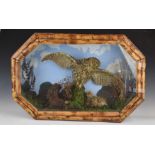 Victorian / Edwardian taxidermy study of an owl, in glazed bamboo framed case, W66 x D15 x H44cm