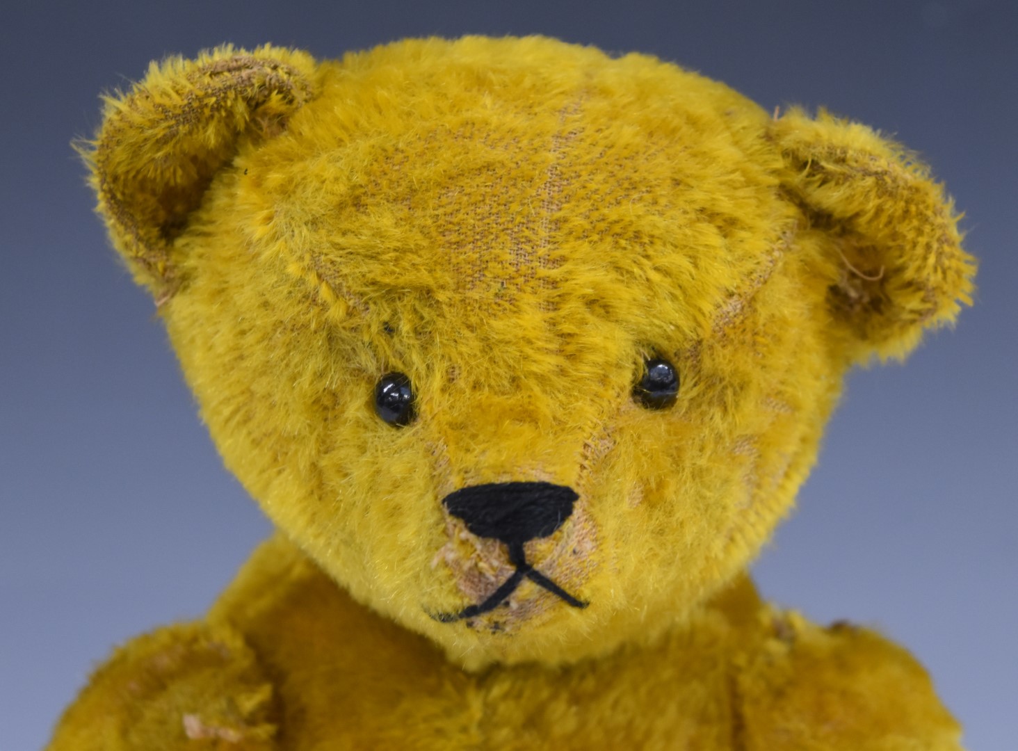 American Teddy bear with golden mohair, straw filling, disc joints, felt pads and stitched features, - Image 3 of 3