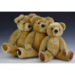 Three Chad Valley Teddy bears all with growler, blonde mohair, soft filling, disc joints, velvet